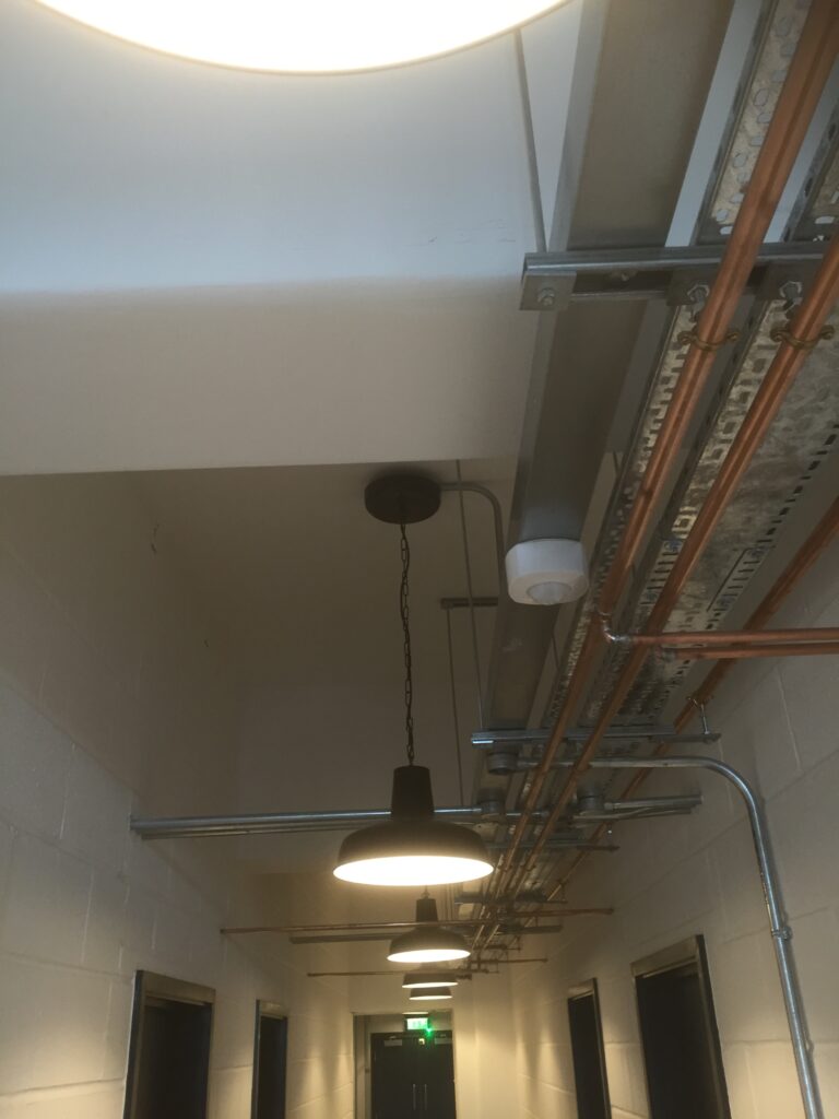 Biscuit Factory lighting