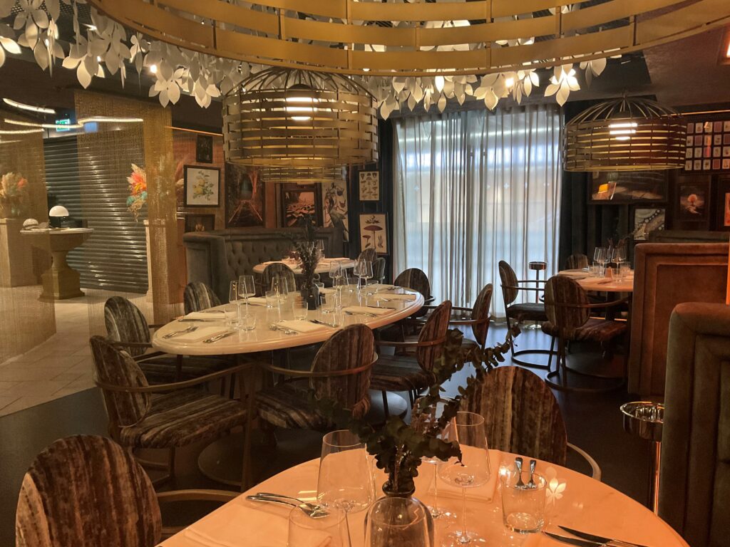 rosarium bar and restaurant lighting